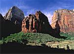 Kathedrale Berg Zion Nationalpark, Utah, USA