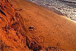 Shoreline Prince Edward Island, Canada