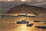 Icebergs in Jones Sound Near Grise Fiord, Nunavut, Canada