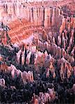 Aerial View of Hoodoos Bryce Canyon National Park Badlands, Utah, USA