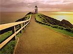 Pathway Leading to Lighthouse at Sunrise, Cape Reinga North Island, New Zealand