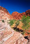 Sedimentary Rock Formations Red Rock Conservation Area Nevada, USA