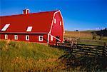 Rote Scheune und Farmland Priddis, Alberta, Kanada