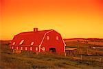 Red Barn and Farmland at Sunset Priddis, Alberta, Canada