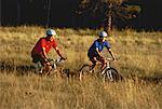 Paar Mountainbike durch Feld von hohem Gras