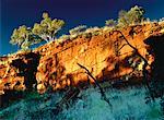 Rock Formations and Trees Karijini National Park Western Australia, Australia