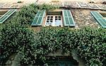 Blickte zu Windows und Ivy Provence, Frankreich