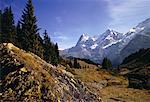 Overview of Landscape and Mountains, Jungfrau Region Switzerland