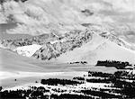 Overview of Mountains and Trees In Winter Colorado, USA