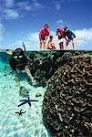 Gens regardant aguerris à Heron Island, Queensland Australie