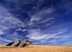 Abandoned Shack in Field Near Grasslands National Park Saskatchewan, Canada