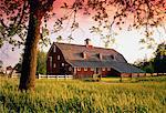 Bauernhof und Feld bei Sonnenuntergang, Knoxville im US-Bundesstaat Illinois