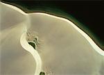 Aerial View of Sand Dunes Magdalena Bay, Puerto San Carlos Baja, Mexico