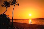 Silhouette d'un Couple sur la plage au coucher du soleil Tropical