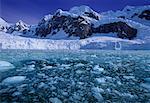 Vue d'ensemble du Glacier et l'Antarctique de l'eau