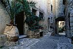 Doorways and Plants in Alley St. Paul, Provence, France