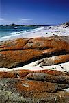 Close-Up of Rocks on Beach Mount William National Park Bay of Fires, Tasmania, Australia