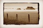 Wire Fence and Barn with Fog Bruce Peninsula, Ontario Canada