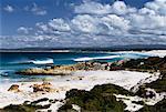 Beach and Rocky Shoreline Mount William National Park Bay of Fires, Tasmania, Australia