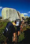 Rückansicht des Menschen wandern Bay von Bränden, Tasmania, Australien