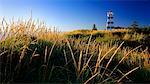 West Point Lighthouse and Tall Grass, Prince Edward Island Canada