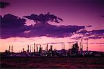 Refinery at Sunset