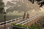 Back View of Two Women Horseback Riding on Path, Ireland