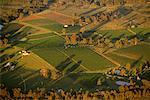 Luftbild des Hunter Valley New South Wales, Australien