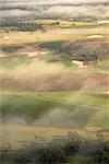 Vue aérienne des terres agricoles et brouillard Hunter région New South Wales, Australie