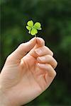 Close-Up of Hand Holding Four Leaf Clover