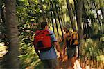 Back View of Couple Hiking in Forest, Belgrade Lakes, ME, USA