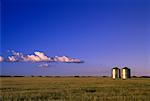 Barley Field and Silos Crossfield, Alberta, Canada