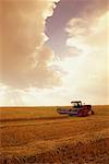 La récolte de blé de la Saskatchewan, Canada