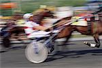 Blurred View of Horse Racing