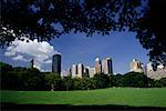 Die Skyline der Stadt von Schaf Wiese Central Park, New York, New York USA