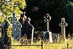 Cemetery at Muckross Abbey Killarney National Park Ireland