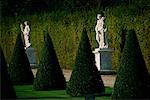 Rangées de Statues et d'arbres dans la Cour, Versailles, France