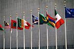 Rangée de drapeaux au siège de l'ONU New York, New York, USA