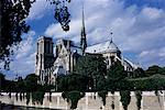 Kathedrale Notre Dame, Paris, Frankreich