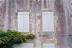 Windows mit geschlossen Fensterläden St. Martin, Ile de Re, Frankreich
