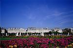 Jardin de Tuileries Paris, France