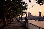 Bäume und Gehweg in der Nähe von Thames River und Häuser des Parlaments London