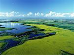 Aerial View of Canola Fields and Shoal Lake, Manitoba, Canada