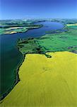 Aerial View of Canola Fields and Shoal Lake, Manitoba, Canada