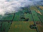 Vue aérienne des terres agricoles et routiers Beausejour, Manitoba, Canada