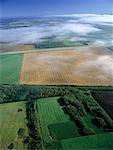 Aerial View of Farmland and Road Beausejour, Manitoba, Canada