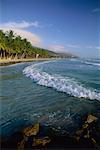 View of Beach and Palm Trees Margarita Island, Venezuela