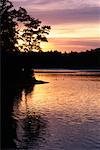 Coucher de soleil sur le lac et les arbres Walden Pond, Massachusetts, USA