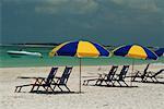 Chaises et parasols sur la plage en Floride