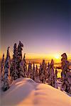 Snow Covered Trees and Landscape At Sunset, Coast Mountains British Columbia, Canada